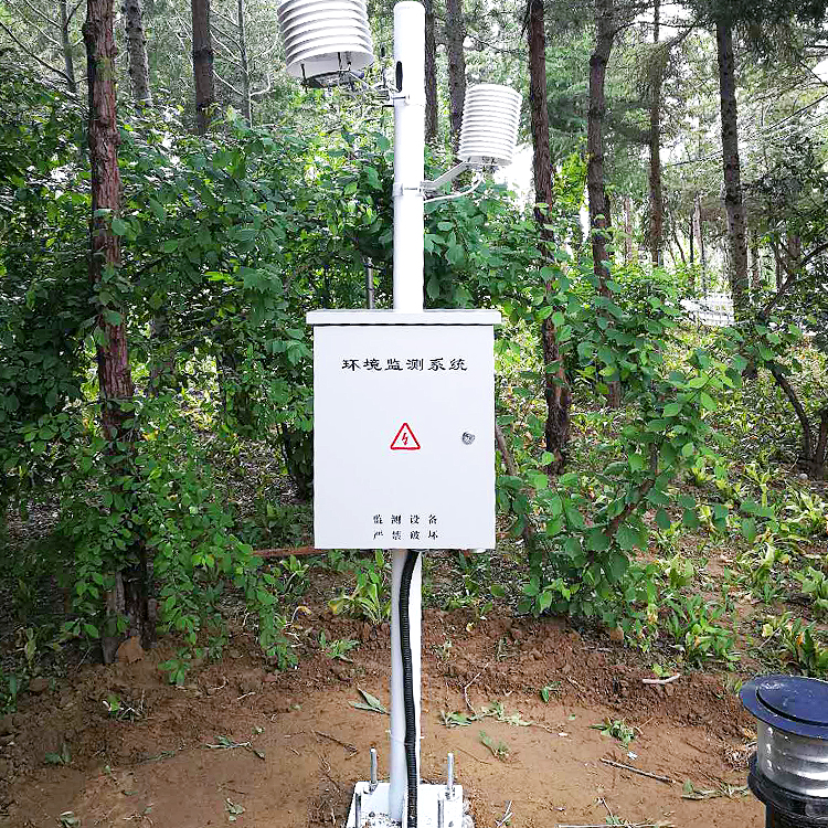 ZYQX-100負氧離子在線監測系統